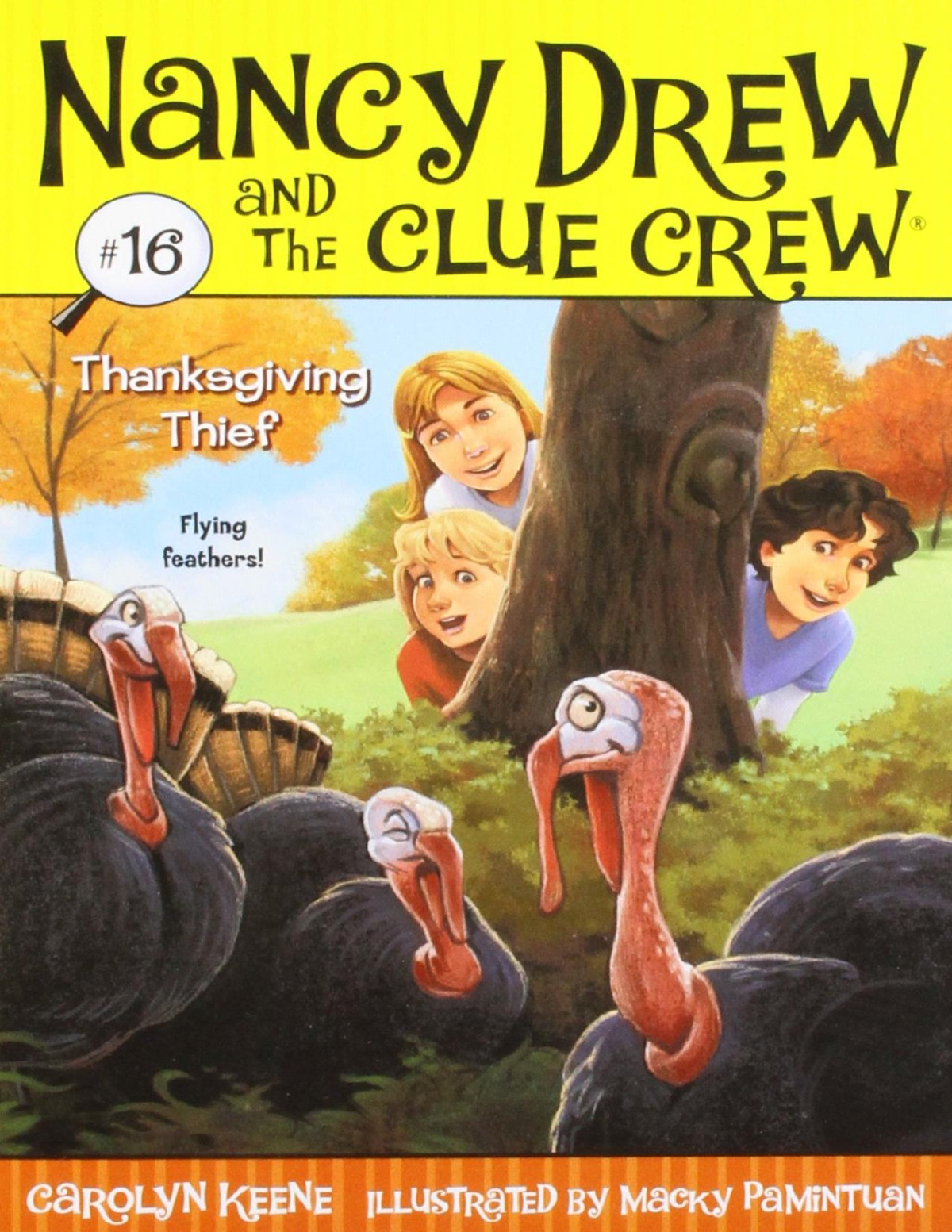 Thanksgiving Thief Carolyn Keene Macky Pamintuan Keene Carolyn Pamintuan