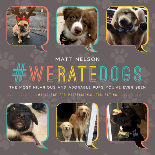 Weratedogs The Most Adorable And Hilarious Pups Youve Ever Seen Matt Nelson