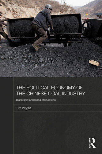 The Political Economy Of The Chinese Coal Industry Black Gold And Bloodstained Coal Tim Wright