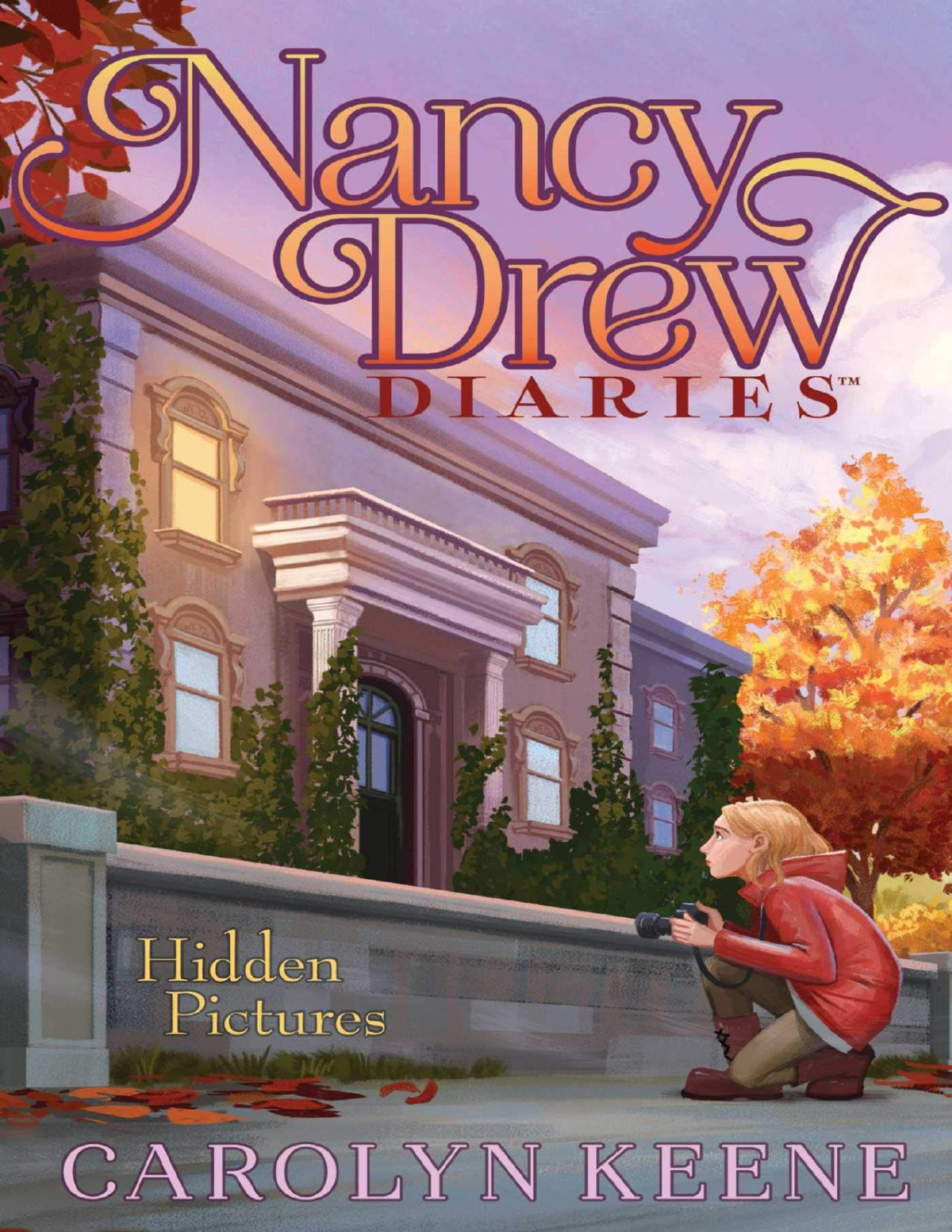 Hidden Pictures Carolyn Keene Keene Carolyn
