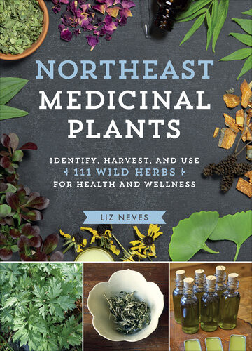 Northeast Medicinal Plants Identify Harvest And Use 111 Wild Herbs For Health And Wellness Liz Neves