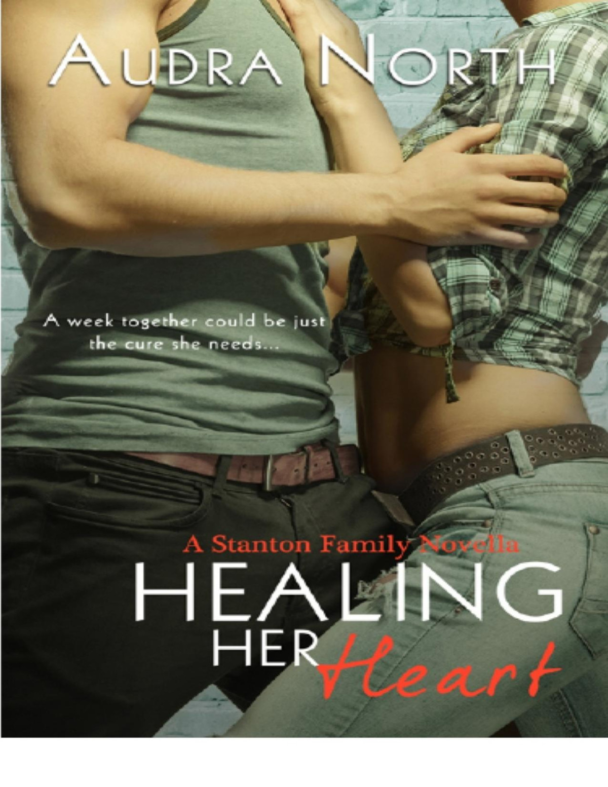 Healing Her Heart Audra North