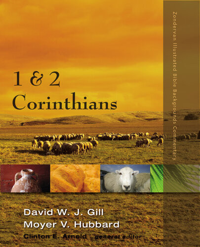 1 And 2 Corinthians David W J Gill Moyer V Hubbard