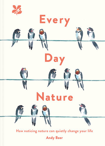 Every Day Nature Andy Beer