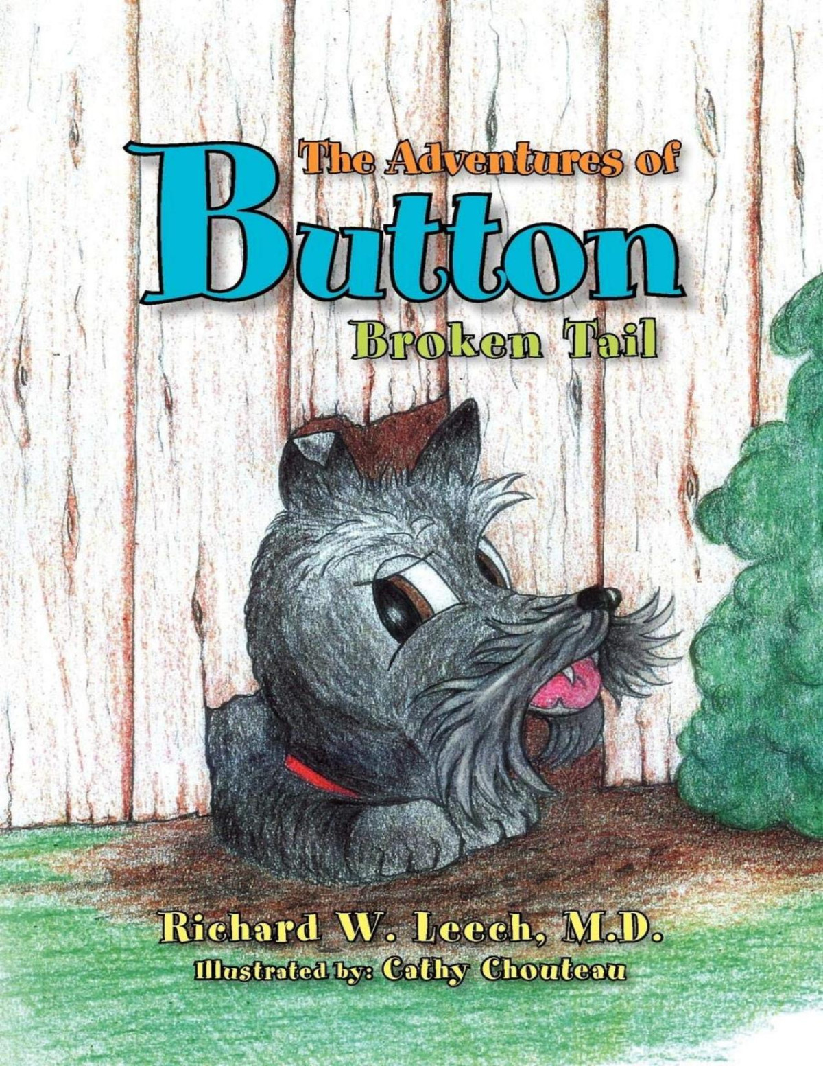 The Adventures Of Button Richard W Leech M D D Richard W Leech M