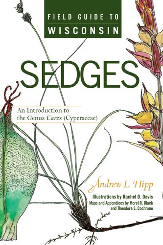 Field Guide To Wisconsin Sedges An Introduction To The Genus Carex Cyperaceae Andrew L Hipp