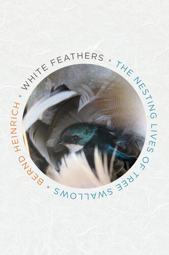 White Feathers The Nesting Lives Of Tree Swallows 1st Edition Bernd Heinrich