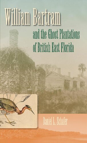 William Bartram And The Ghost Plantations Of British East Florida Daniel L Schafer