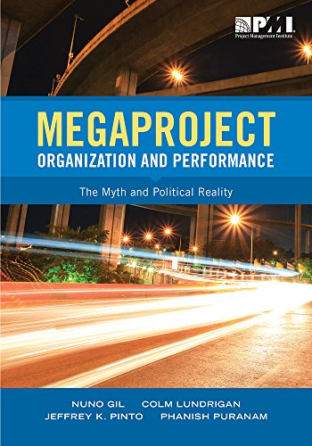 Megaproject Organization And Performance Nuno Gil Colm Lundrigan