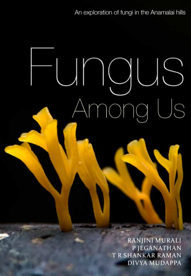 Fungus Among Us An Exploration Of Fungi In The Anamalai Hills Murali