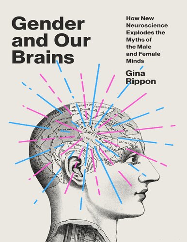 Gender And Our Brains 1st Edition Gina Rippon