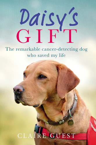 Daisys Gift The Remarkable Cancerdetecting Dog Who Saved My Life Guest