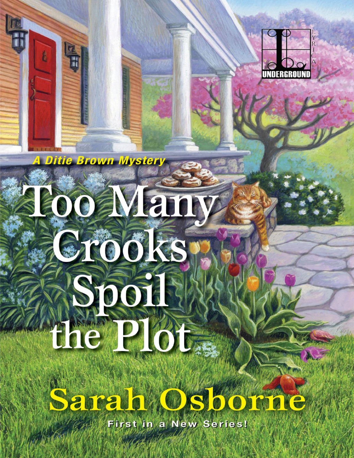 Too Many Crooks Spoil The Plot Sarah Osborne