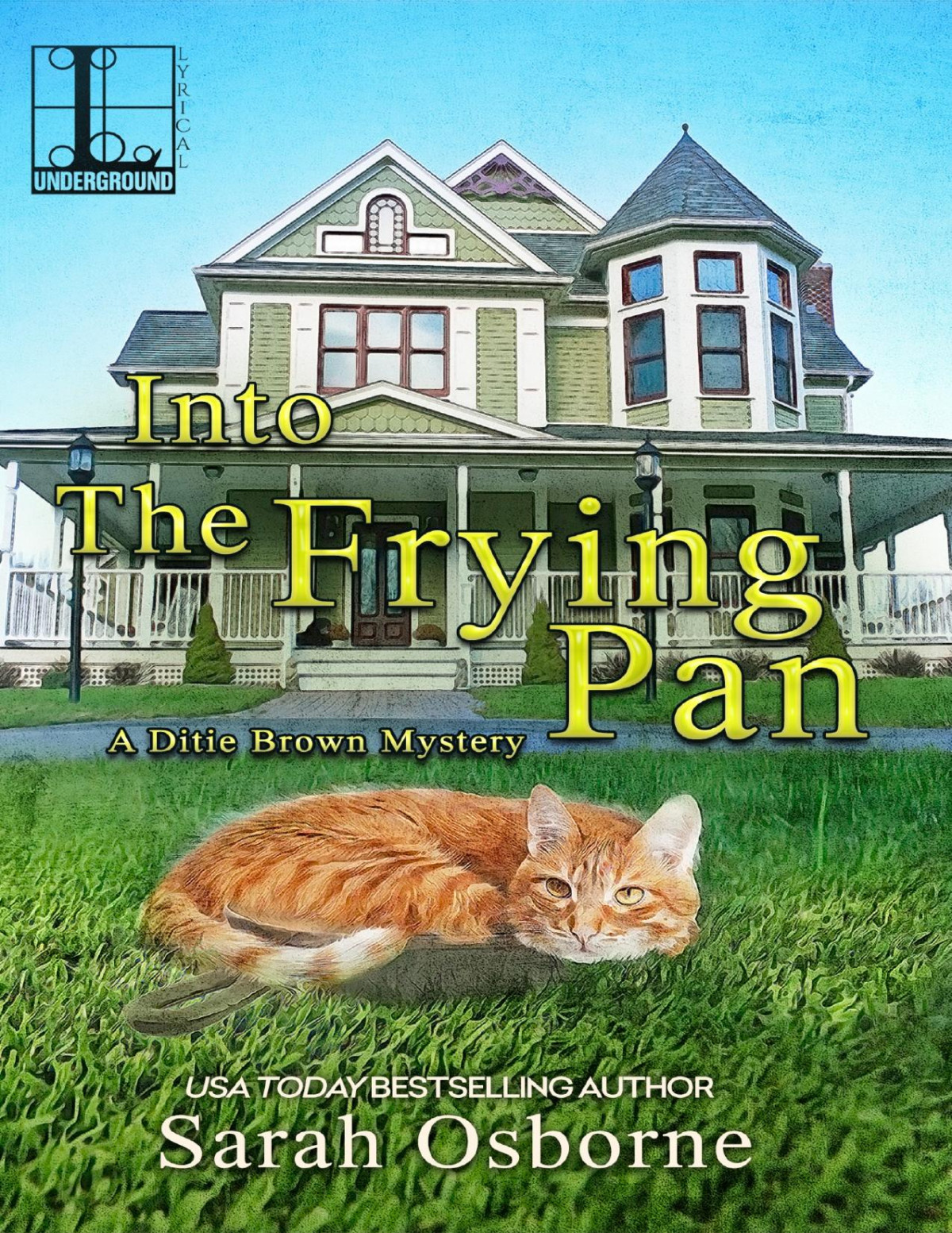 Into The Frying Pan Sarah Osborne Osborne Sarah