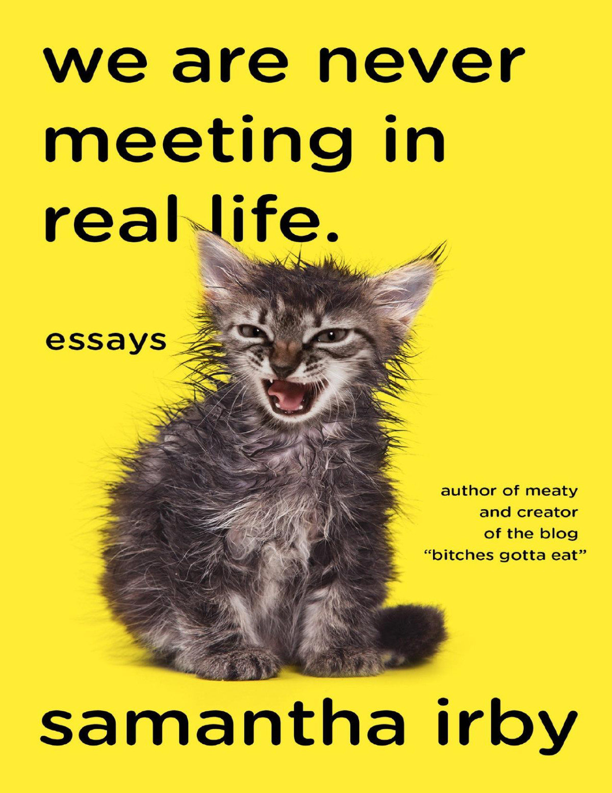 We Are Never Meeting In Real Life Essays Samantha Irby