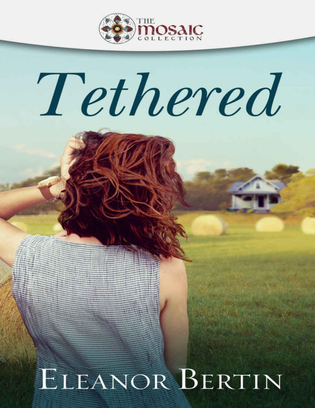 Tethered Mosaic Collection Eleanor Bertin