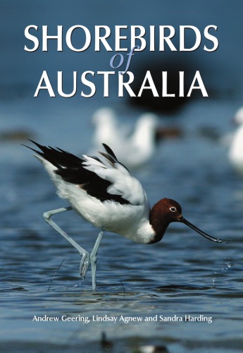 Shorebirds Of Australia Agnew Lindsaygeering Andrewharding
