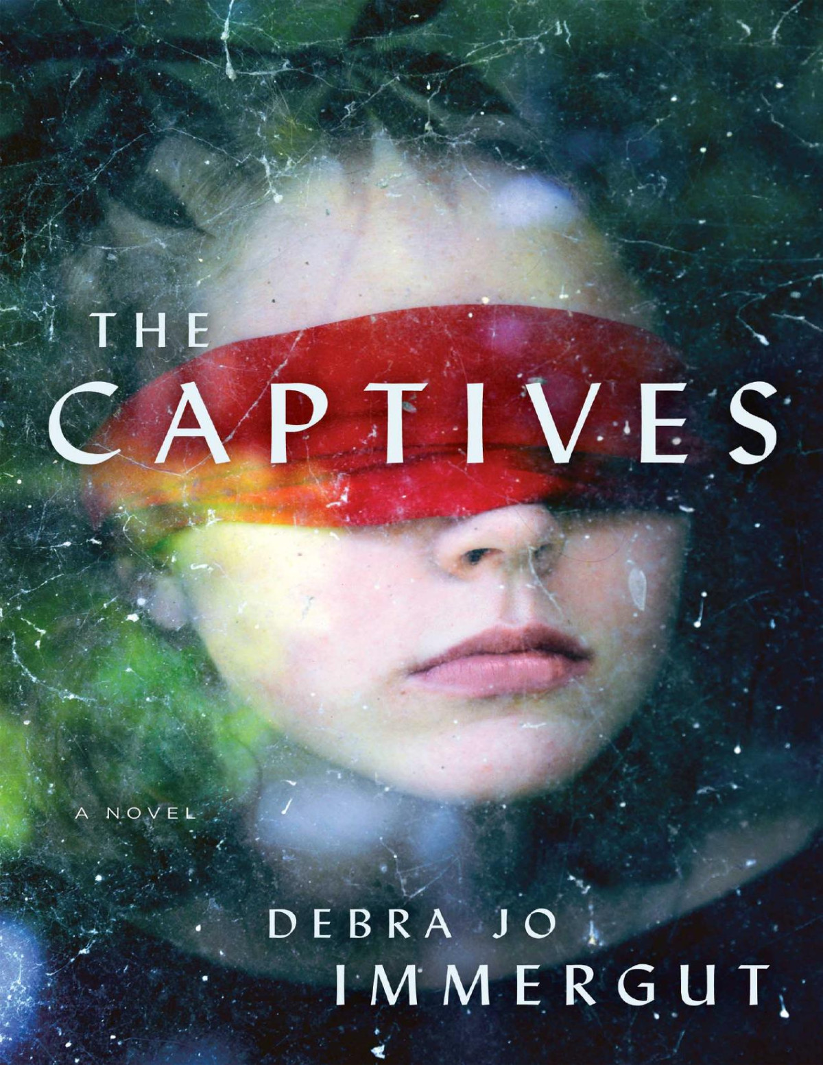 The Captives Debra Jo Immergut
