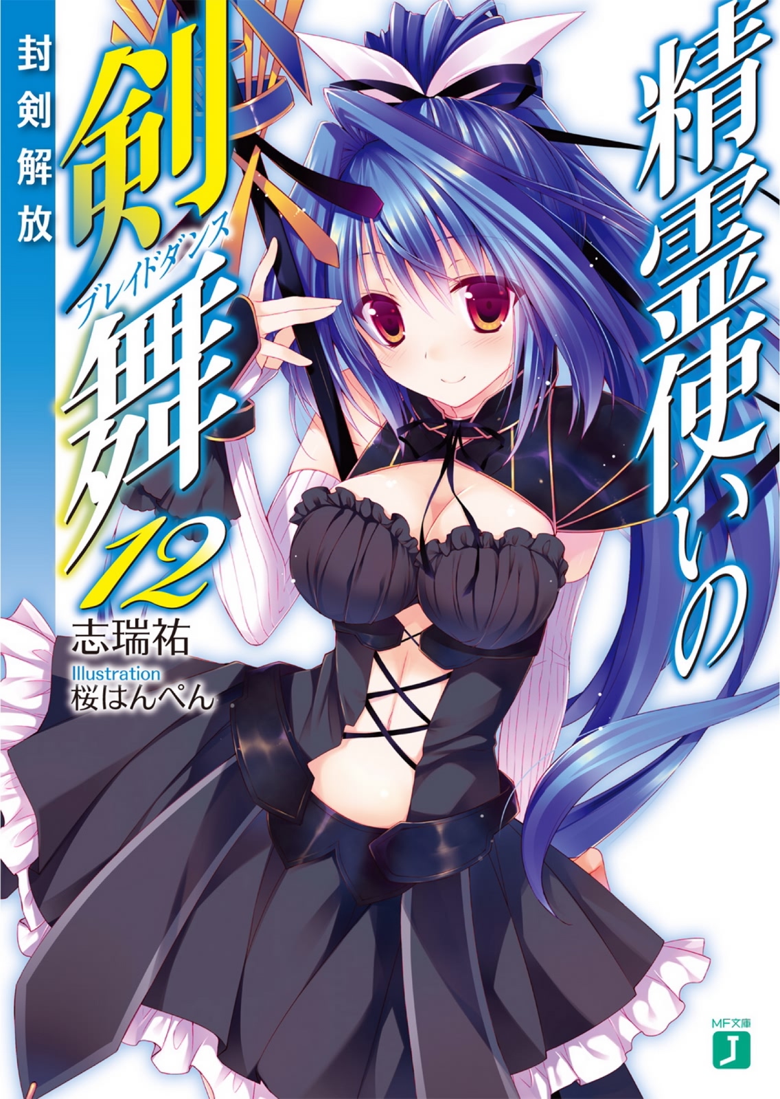 Seirei Tsukai No Blade Dance Volume 12 Releasing The Sealed Sword Shimizu Yuu Yuu