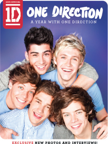 One Direction A Year With One Direction Avery Jo