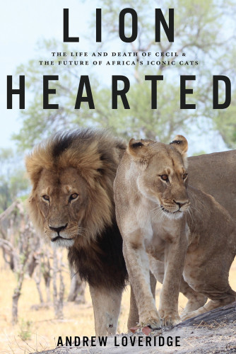 Lion Hearted The Life And Death Of Cecil The Future Of Africas Iconic Cats Andrew Loveridge