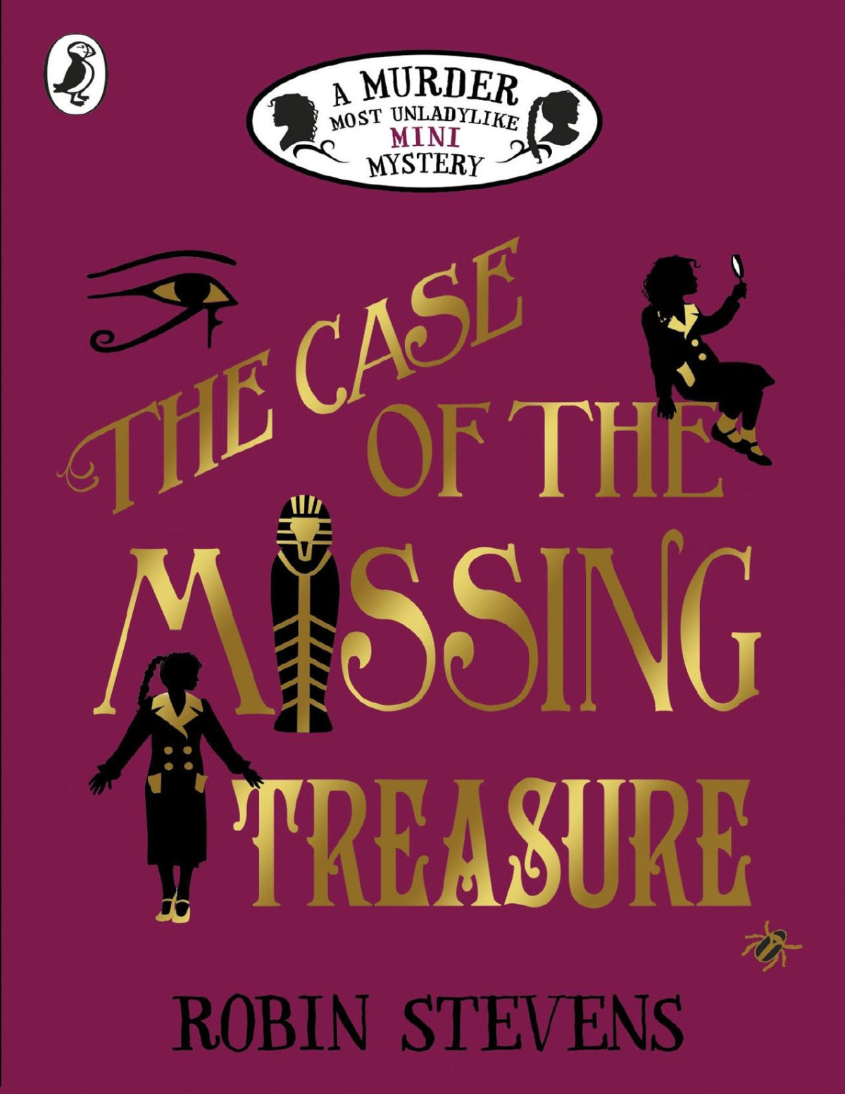 The Case Of The Missing Treasure Robin Stevens Stevens Robin