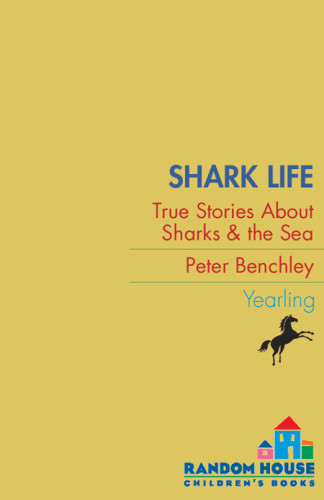 Shark Life True Stories About Sharks The Sea Benchley Peterwojtyla
