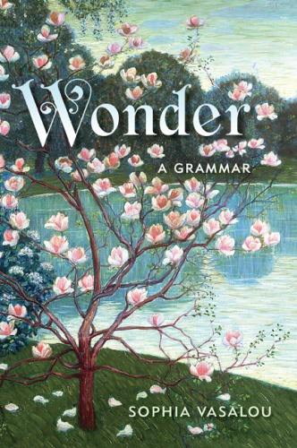 Wonder A Grammar Bennett Jenncampochiaro Michaelvasalou Sophia