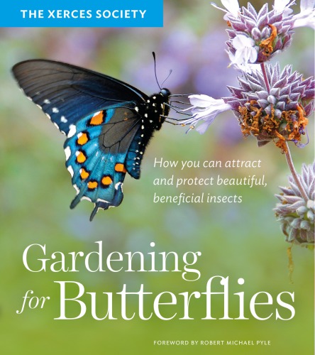 Gardening For Butterflies How You Can Attract And Protect Beautiful Beneficial Insects Black