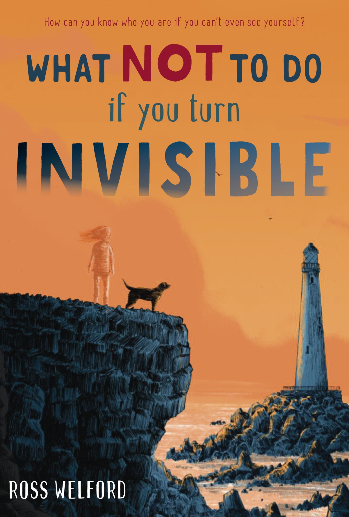 What Not To Do If You Turn Invisible Ross Welford Welford Ross