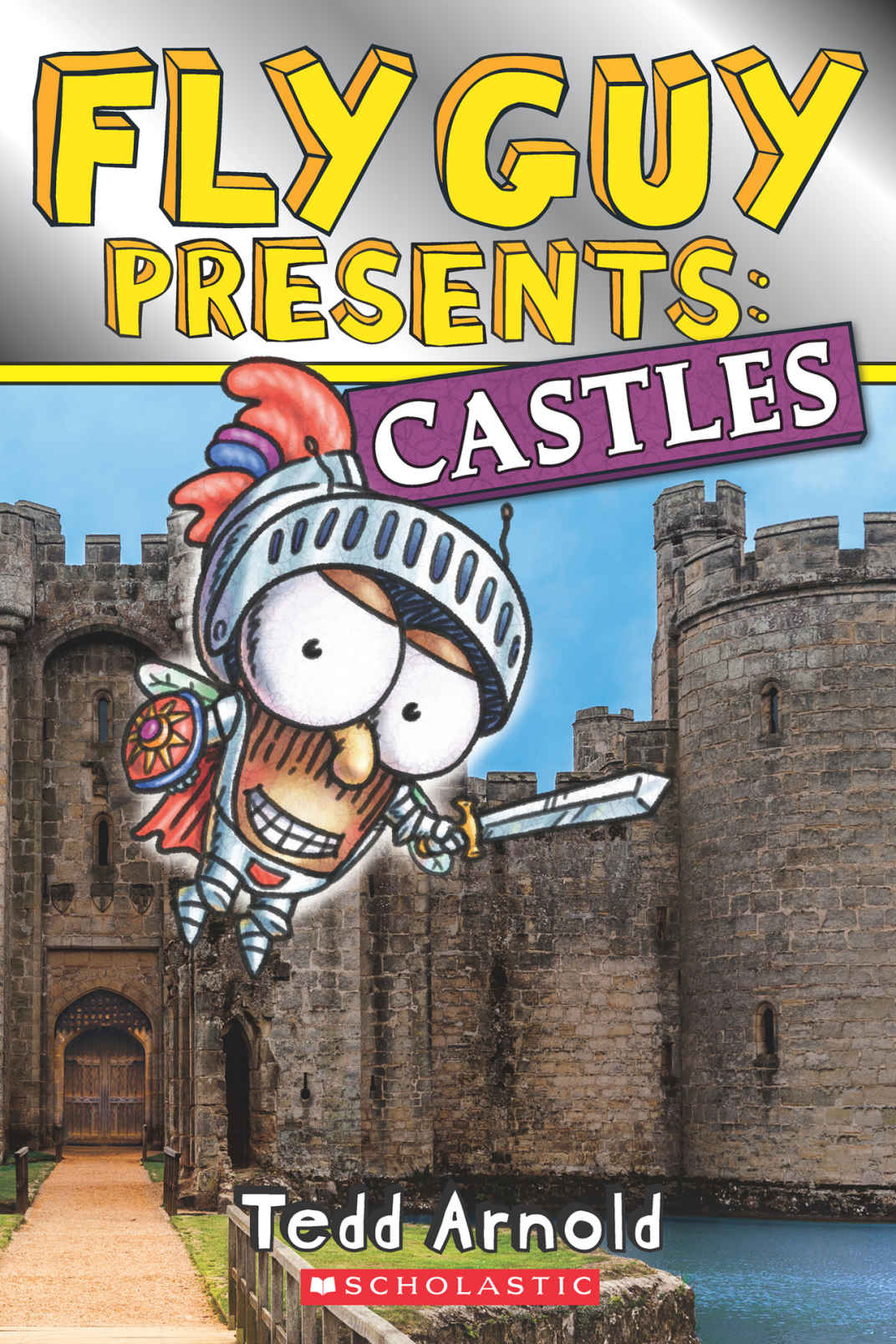 Fly Guy Presents Castles Scholastic Reader Level 2 Tedd Arnold