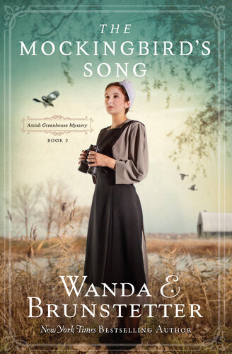 The Mockingbirds Song Wanda E Brunstetter