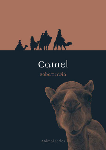 Camel Robert Irwin