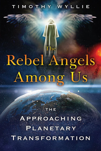 The Rebel Angels Among Us The Approaching Planetary Transformation Timothy Wyllie