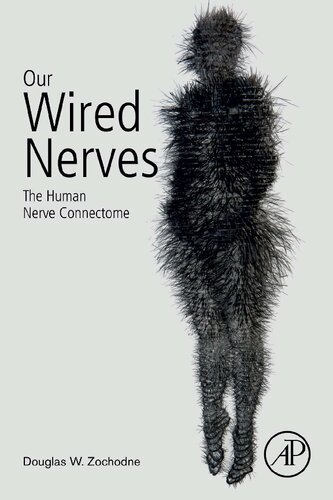 Our Wired Nerves The Human Nerve Connectome 1st Edition Douglas W Zochodne