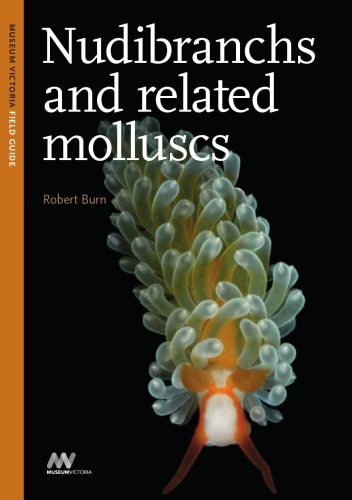 Nudibranchs And Related Molluscs Burn Robert