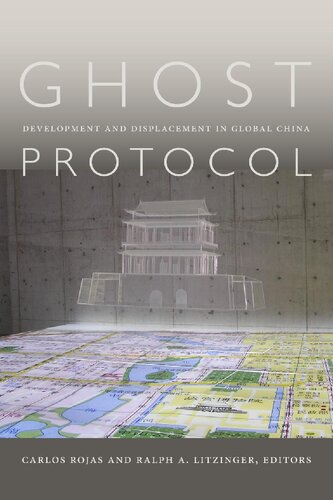 Ghost Protocol Development And Displacement In Global China Carlos Rojas Editor