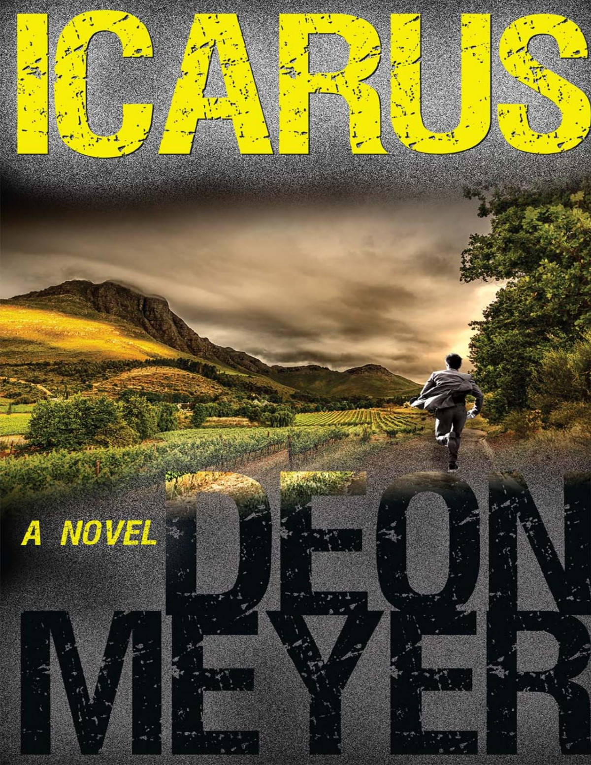 Icarus Deon Meyer