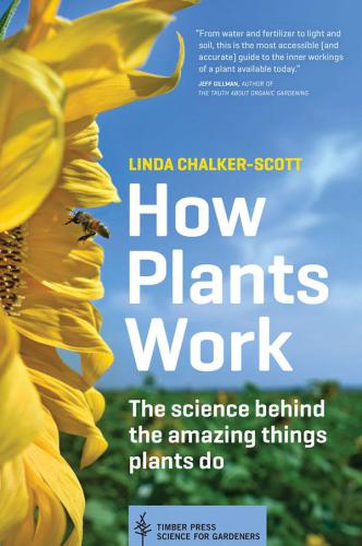 How Plants Work The Science Behind The Amazing Things Plants Do Chalkerscott