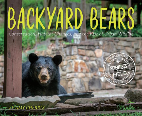 Backyard Bears Conservation Habitat Changes And The Rise Of Urban Wildlife Cherrix