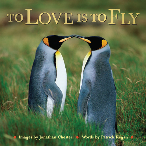 To Love Is To Fly Chester Jonathanregan Patrick