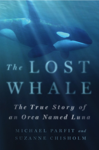 The Lost Whale The True Story Of An Orca Named Luna Chisholm