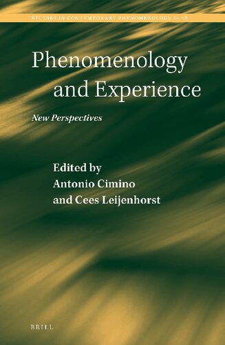 Phenomenology And Experience New Perspectives Antonio Cimino Editor