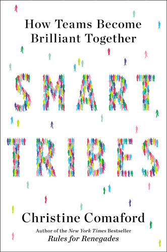 Smarttribes How Teams Become Brilliant Together Comafordlynch