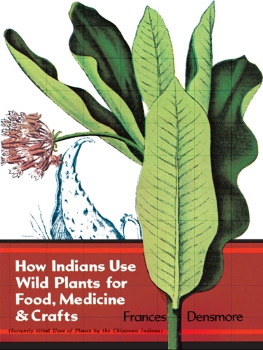 How Indians Use Wild Plants For Food Medicine Crafts Frances Densmore