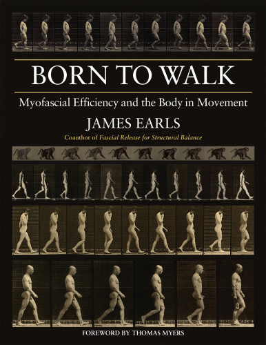 Born To Walk Myofascial Efficiency And The Body In Movement Earls