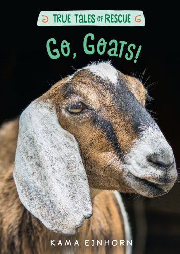 Go Goats Einhorn Kama