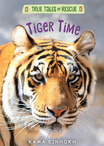 Tiger Time Einhorn Kama