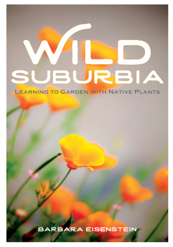 Wild Suburbia Learning To Garden With Native Plants Southern California Usa Barbara Eisenstein