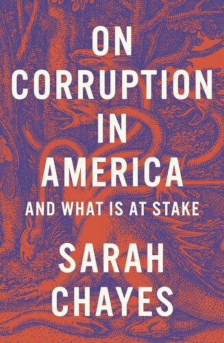 On Corruption In America And What Is At Stake Sarah Chayes